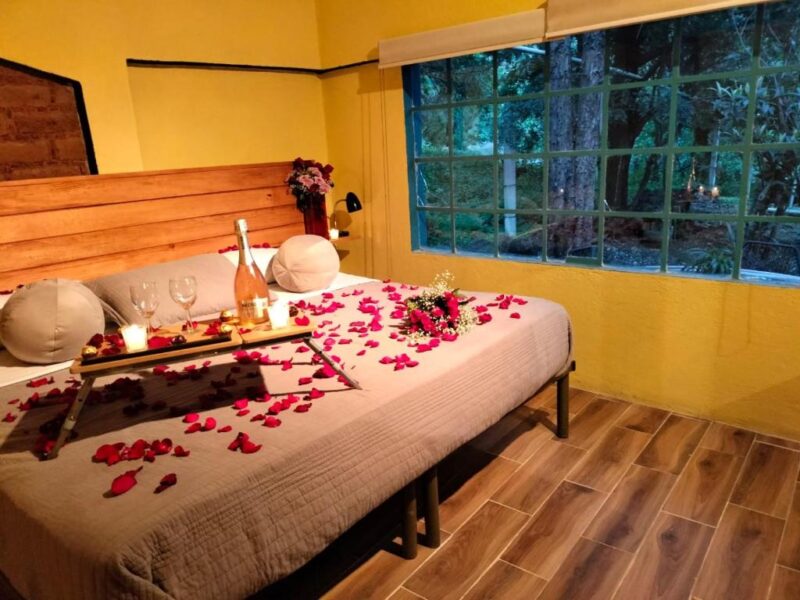 Casa en el bosque, relajate y disfruta la naturaleza