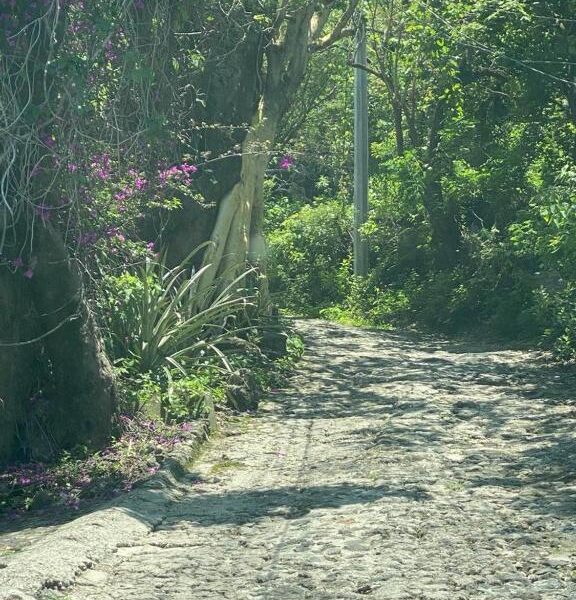 Casa en el bosque, relajate y disfruta la naturaleza